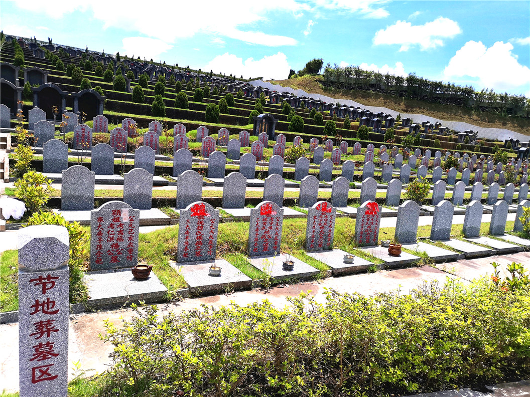 节地葬墓区