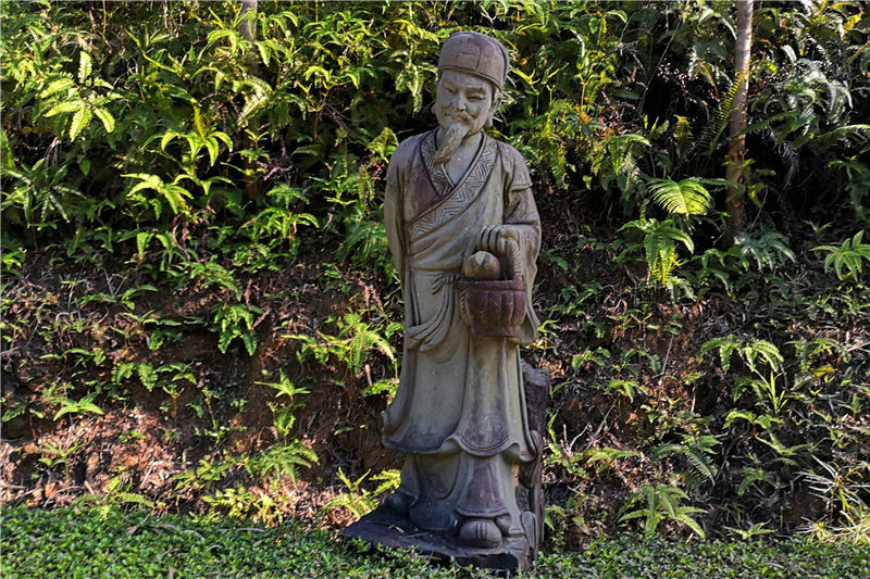 涌泉跃鲤