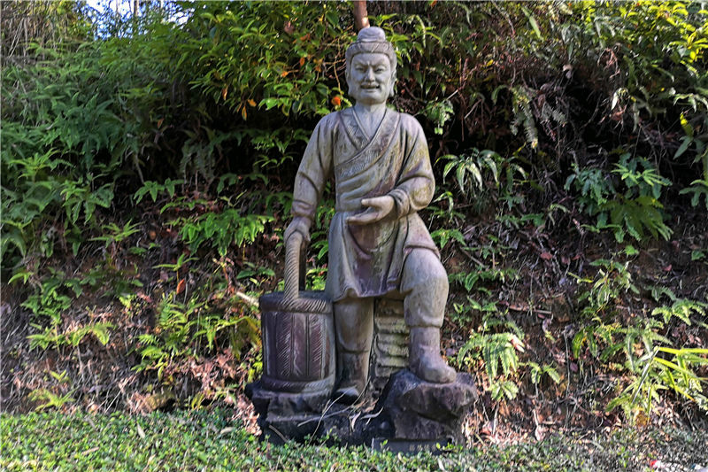 拾葚供亲