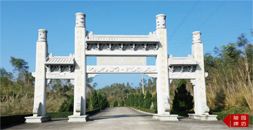 pic1.jpg